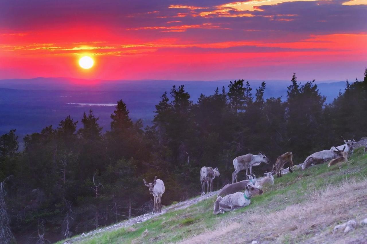 Villa Vuossel Ruka Exteriér fotografie